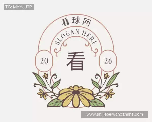 解读看球网