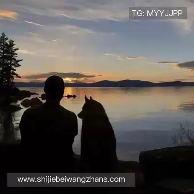 宋舒煜
